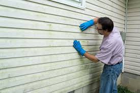 Affordable Siding Repair and Maintenance Services in Hutchinson, MN